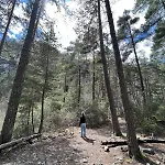 Mountain In Alpesi faház