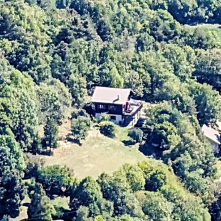 Mountain In Chalet *